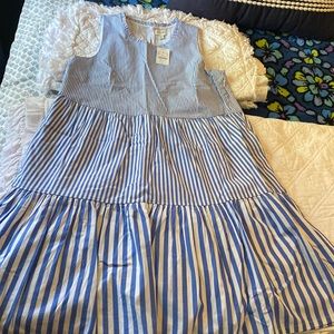 JCrew Swing dress